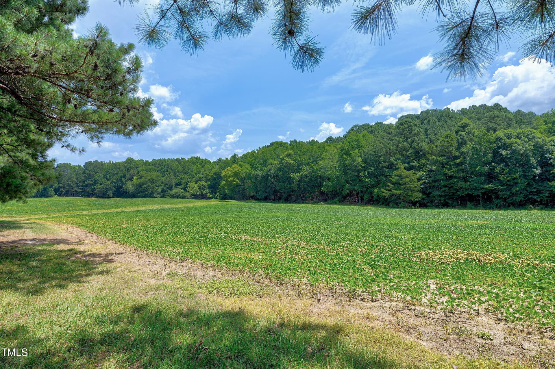 Scene-57 - 5859 Vicksboro Road, Henderson, NC 27537