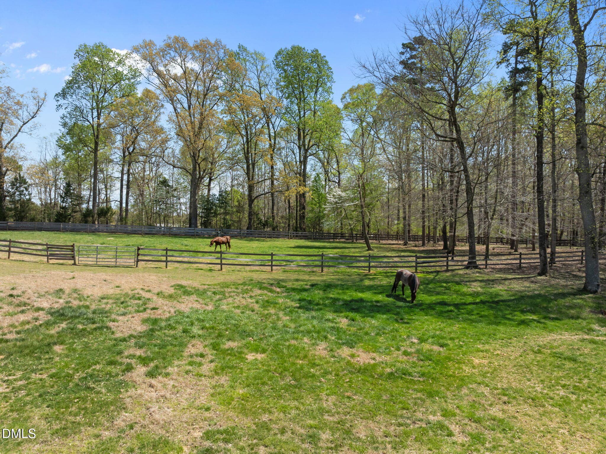 Pasture - 4578 Millpoint Road, Greensboro, NC 27406