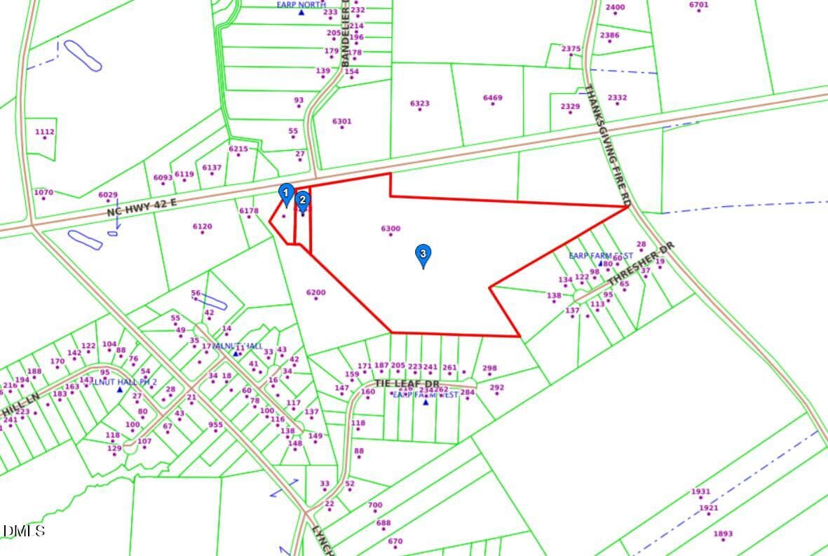 Earp Farm Tract 1 GIS Photo - 6252 42 Highway E, Selma, NC 27576