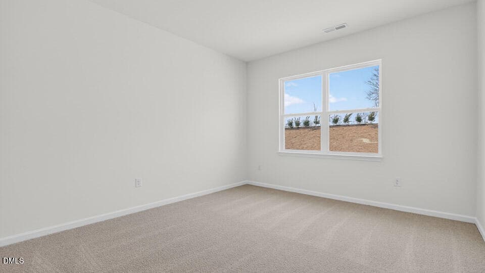 PRIMARY SUITE - 20 Honeydew Drive, Angier, NC 27501