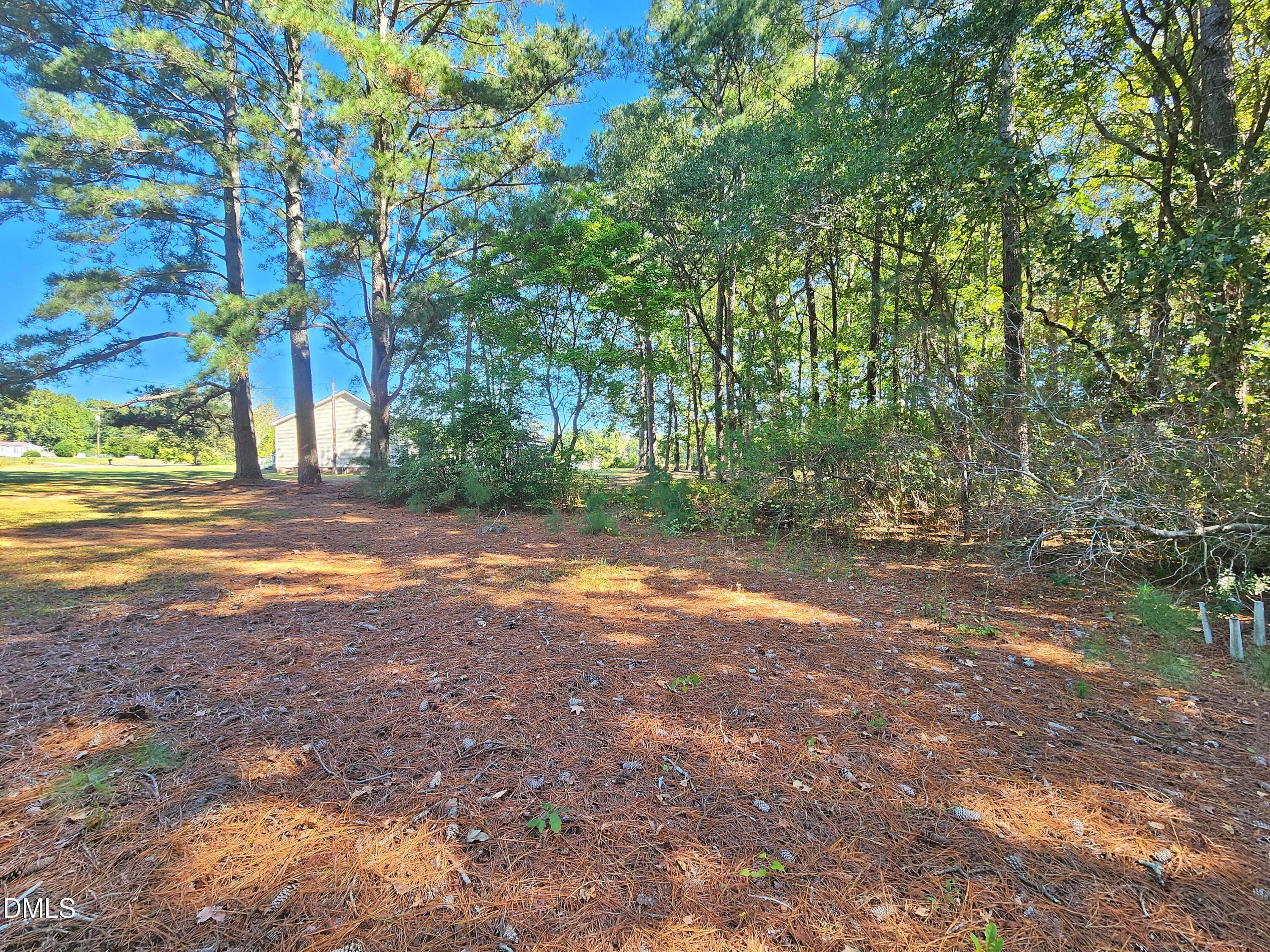 20261019_123333 - 5015 St Marys Church Road, Lucama, NC 27851