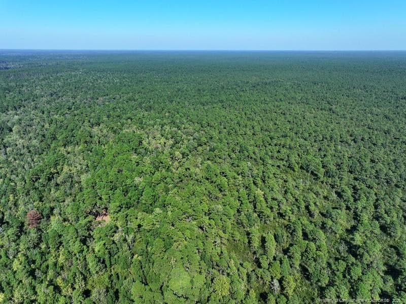 Photo 8 - Angola Bay, Wallace, NC 28466