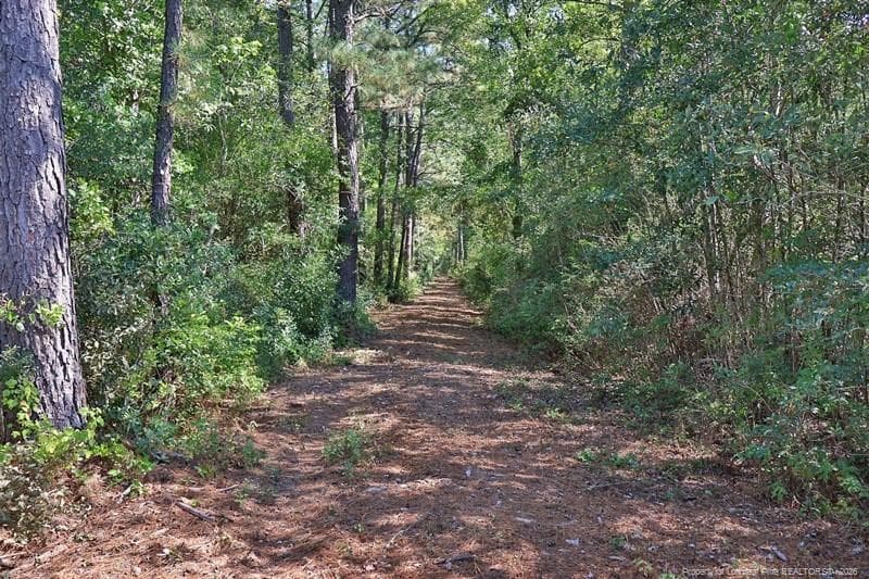 Photo 9 - Angola Bay, Wallace, NC 28466