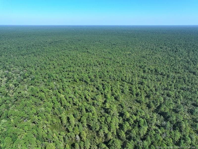 Photo 10 - Angola Bay, Wallace, NC 28466