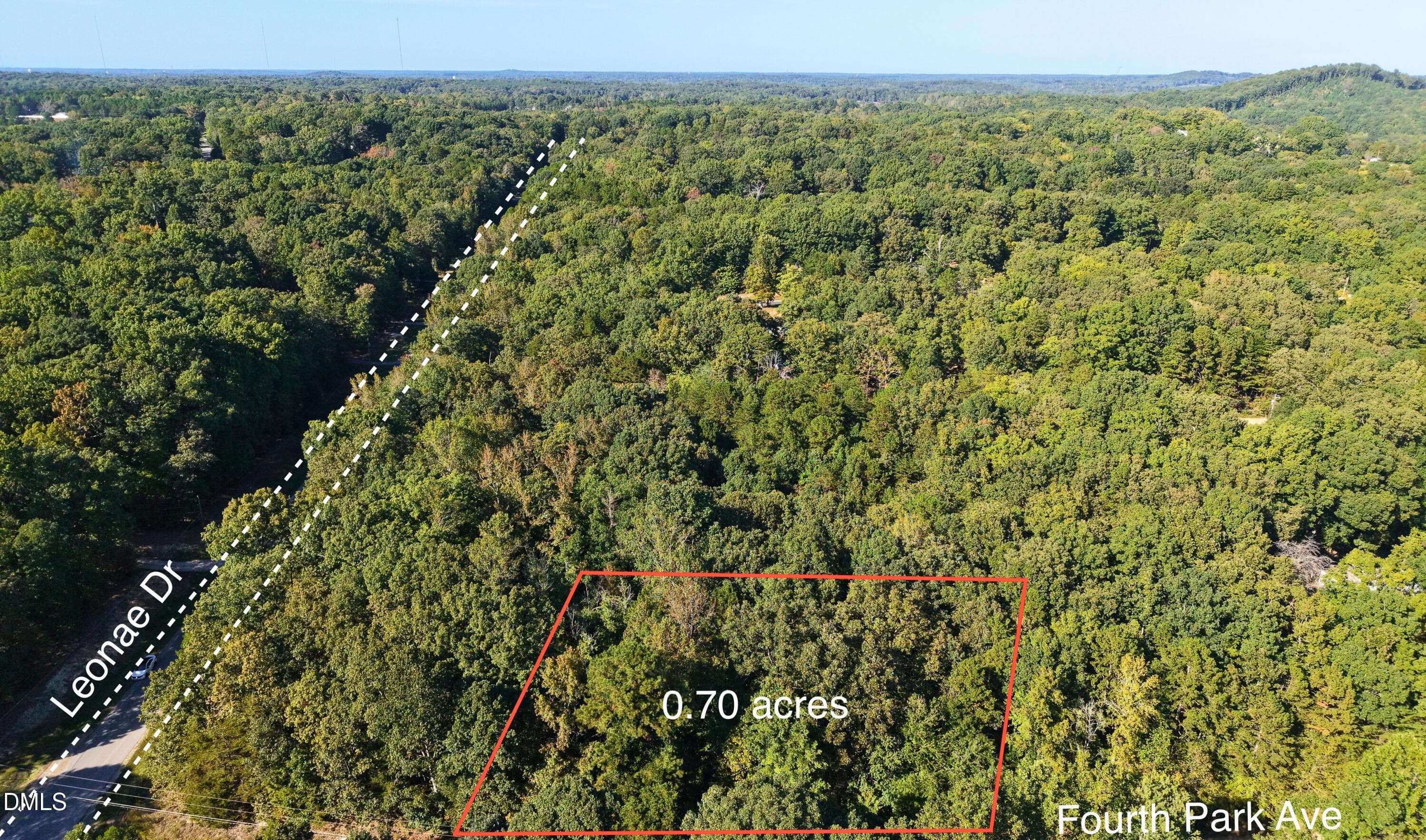 Drone View Along Leonae Dr - 00-00 Fourth Park Avenue, Randleman, NC 27317