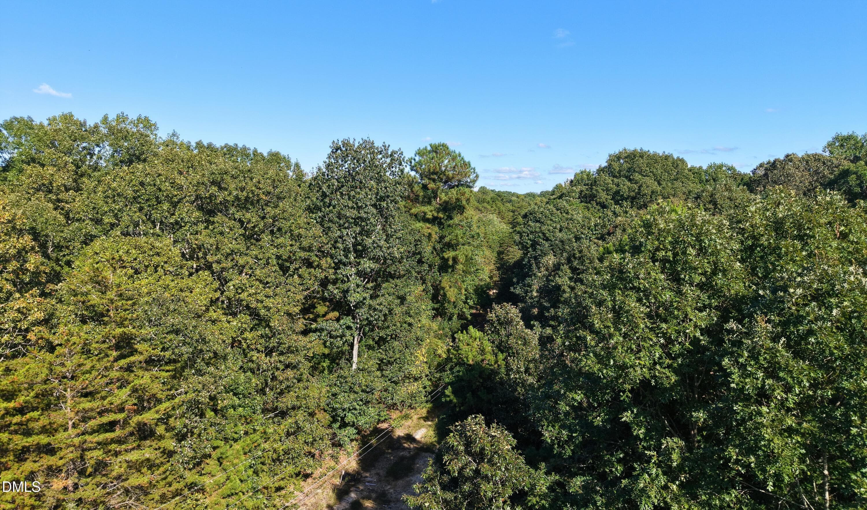 Hardwood Tree Canopy, Randolph County - 00-00 Fourth Park Avenue, Randleman, NC 27317
