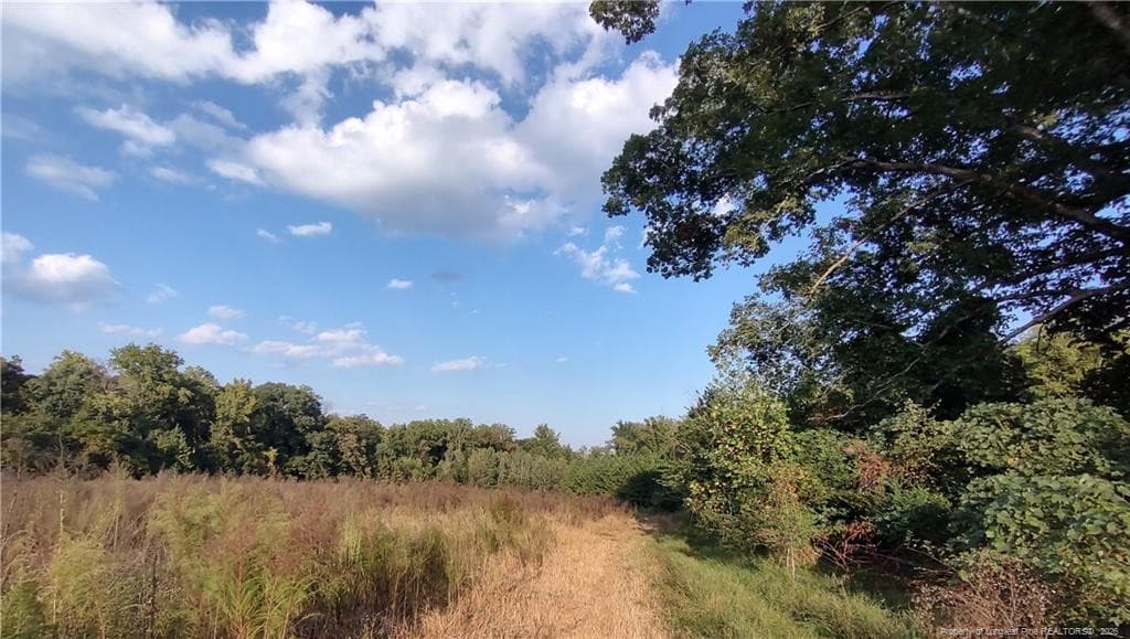 Photo 2 - 0 Fire Tower Road, Sanford, NC 27330