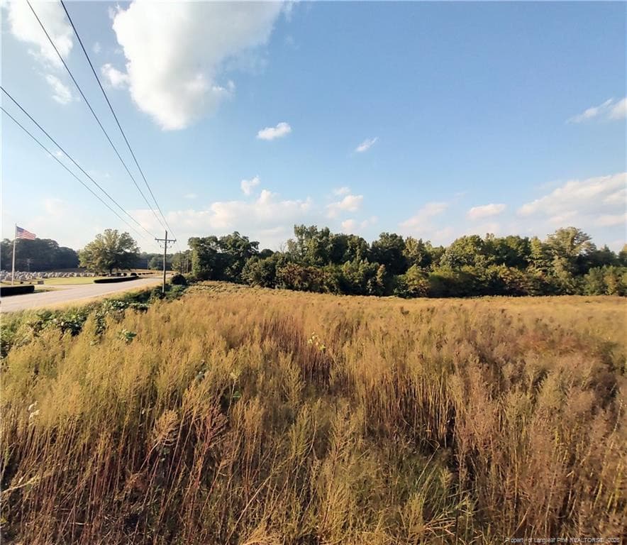 Photo 3 - 0 Fire Tower Road, Sanford, NC 27330