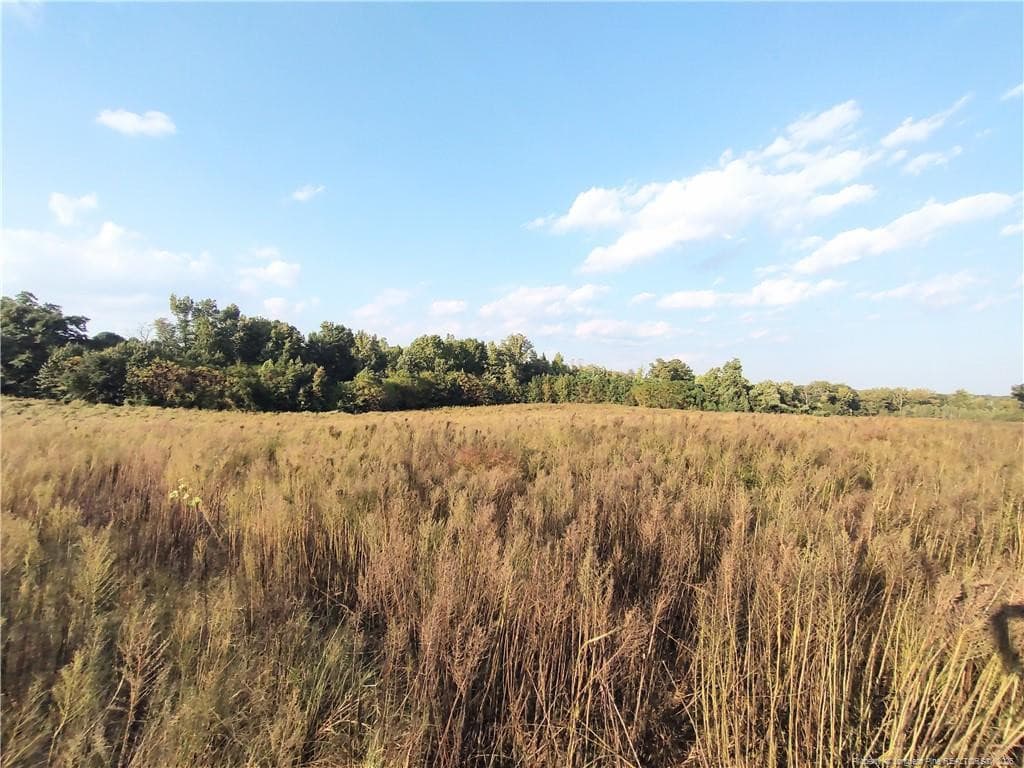 Photo 4 - 0 Fire Tower Road, Sanford, NC 27330