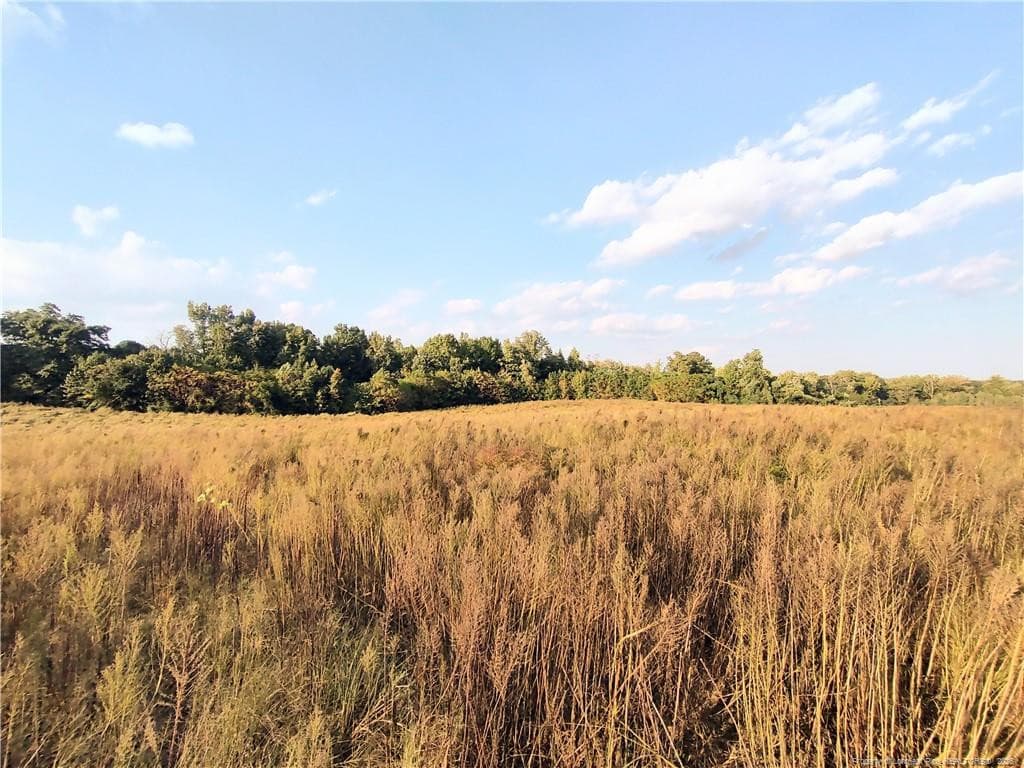 Photo 5 - 0 Fire Tower Road, Sanford, NC 27330