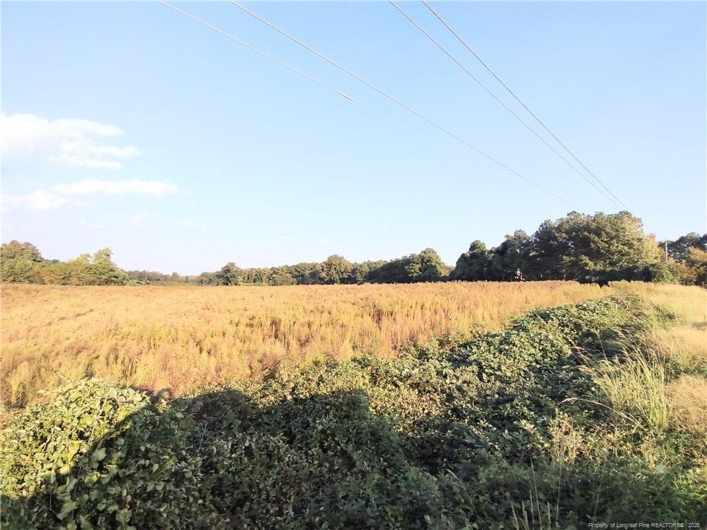 Photo 6 - 0 Fire Tower Road, Sanford, NC 27330