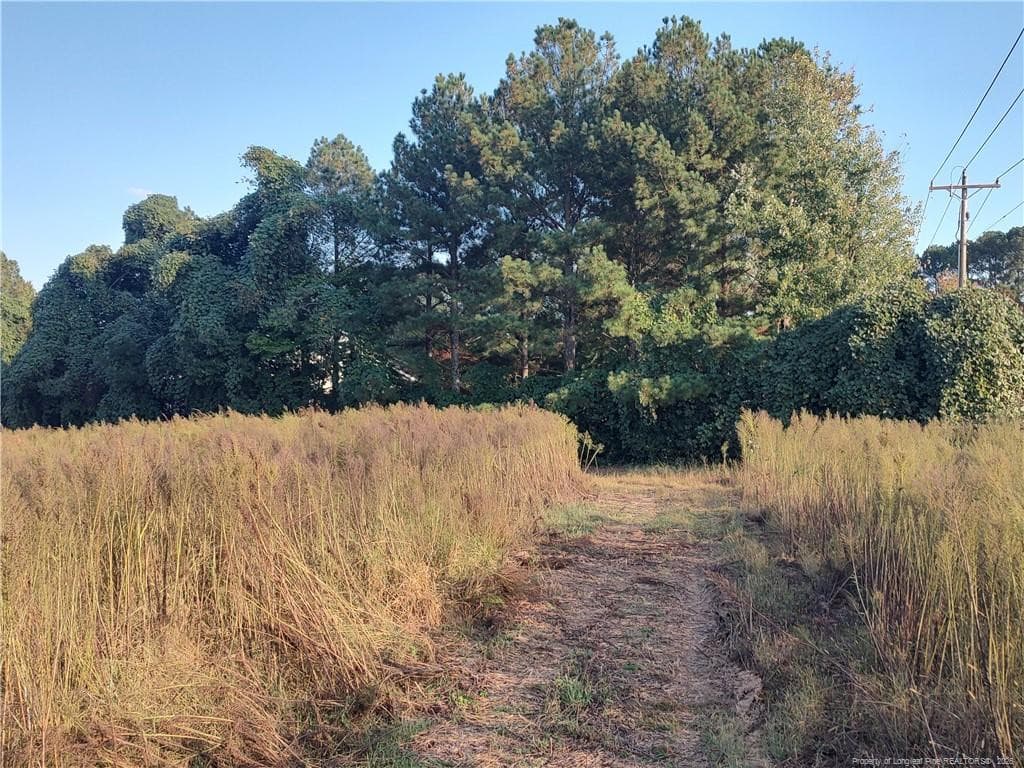 Photo 7 - 0 Fire Tower Road, Sanford, NC 27330