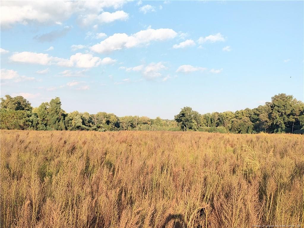 Photo 8 - 0 Fire Tower Road, Sanford, NC 27330