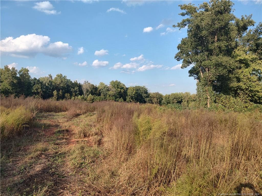 Photo 9 - 0 Fire Tower Road, Sanford, NC 27330