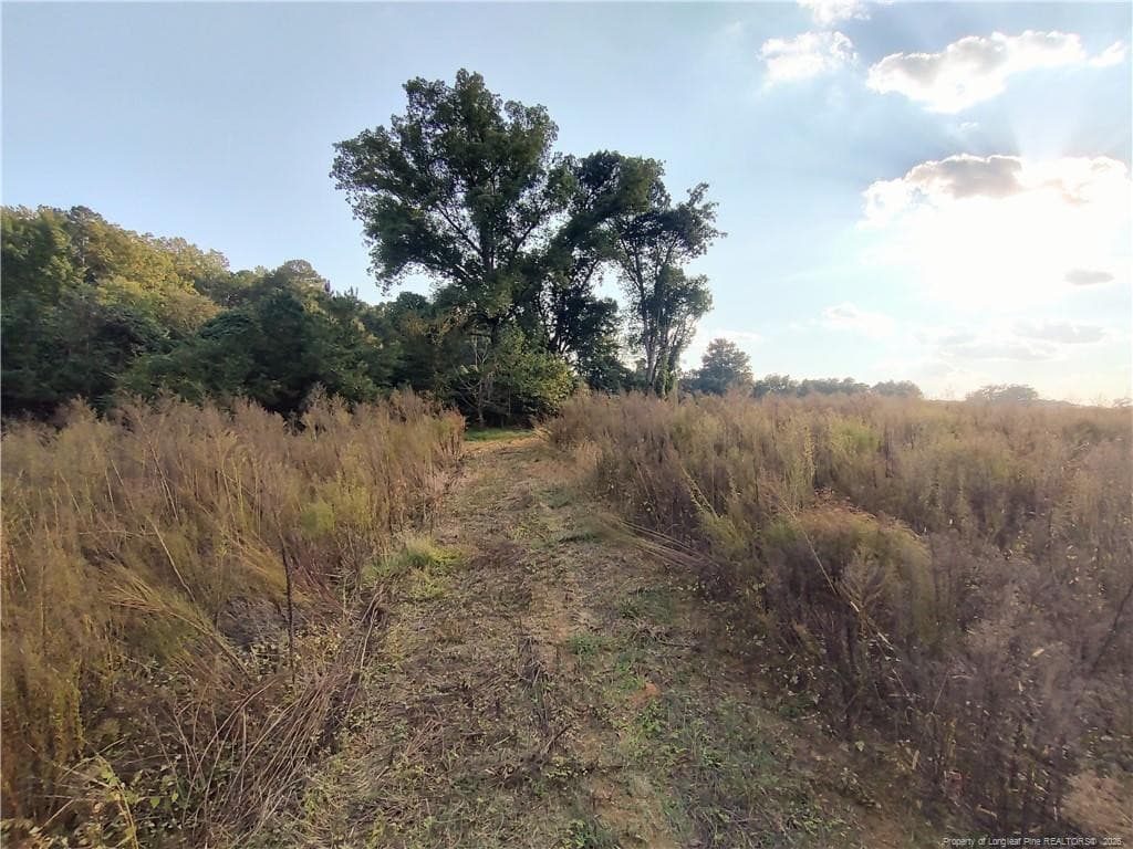 Photo 10 - 0 Fire Tower Road, Sanford, NC 27330