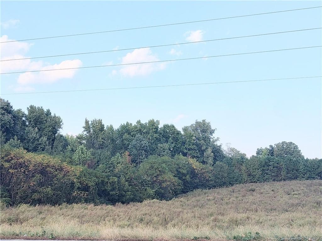 Photo 11 - 0 Fire Tower Road, Sanford, NC 27330