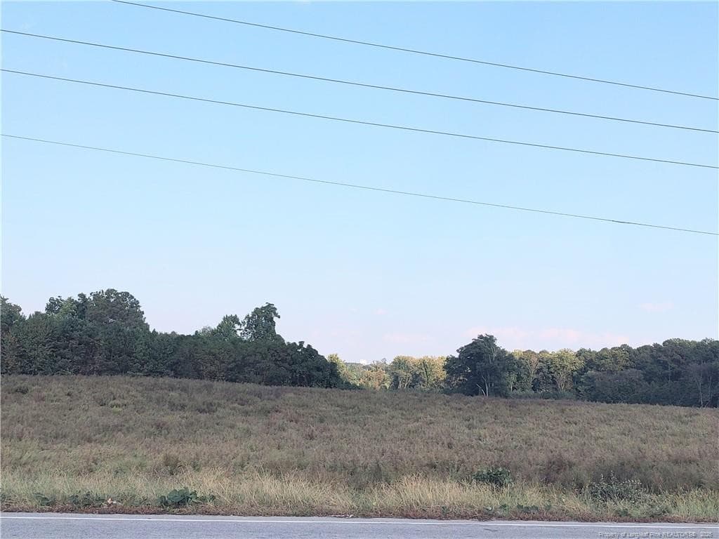 Photo 12 - 0 Fire Tower Road, Sanford, NC 27330