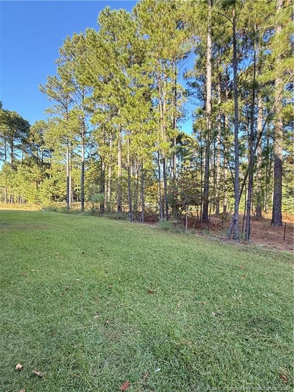 Photo 24 - 260 Gallery Drive 102, Spring Lake, NC 28390