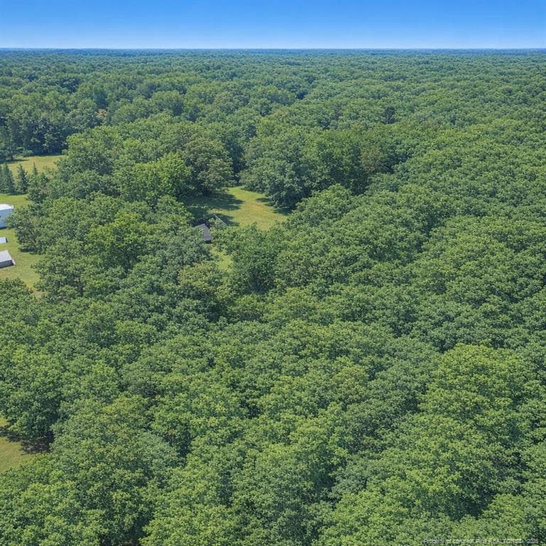 Photo 9 - 0 Wooten Road, Maple Hill, NC 28545