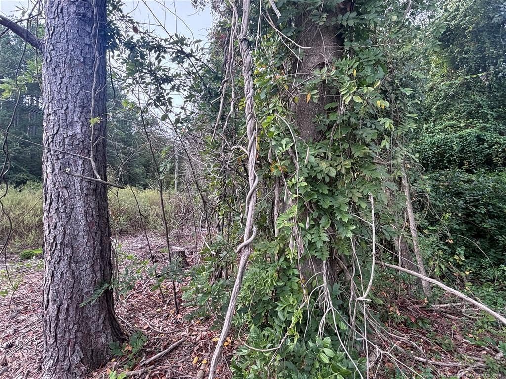 Photo 12 - Pelt Drive, Fayetteville, NC 28301