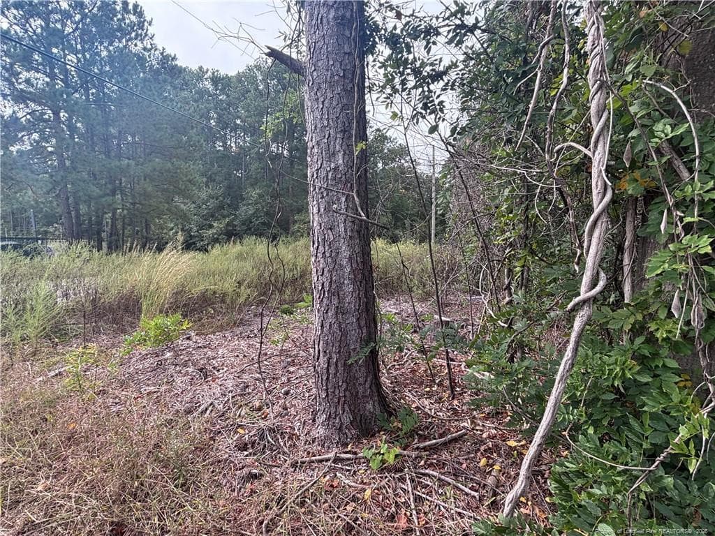 Photo 13 - Pelt Drive, Fayetteville, NC 28301