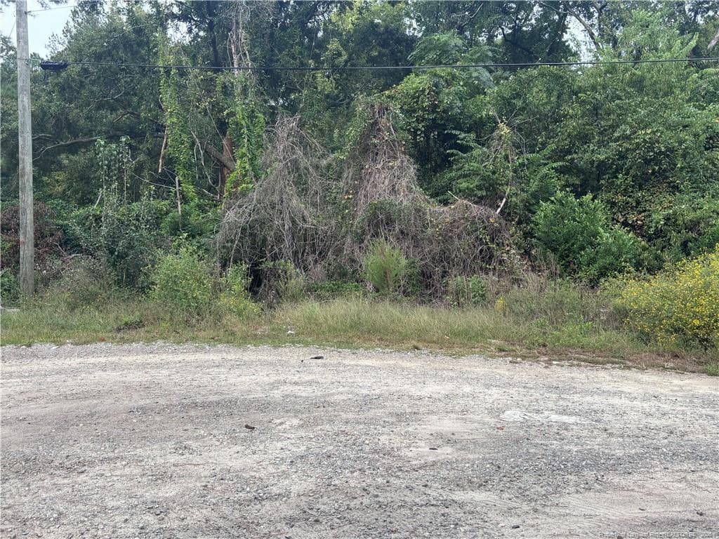 Pelt Drive, Fayetteville, NC 28301