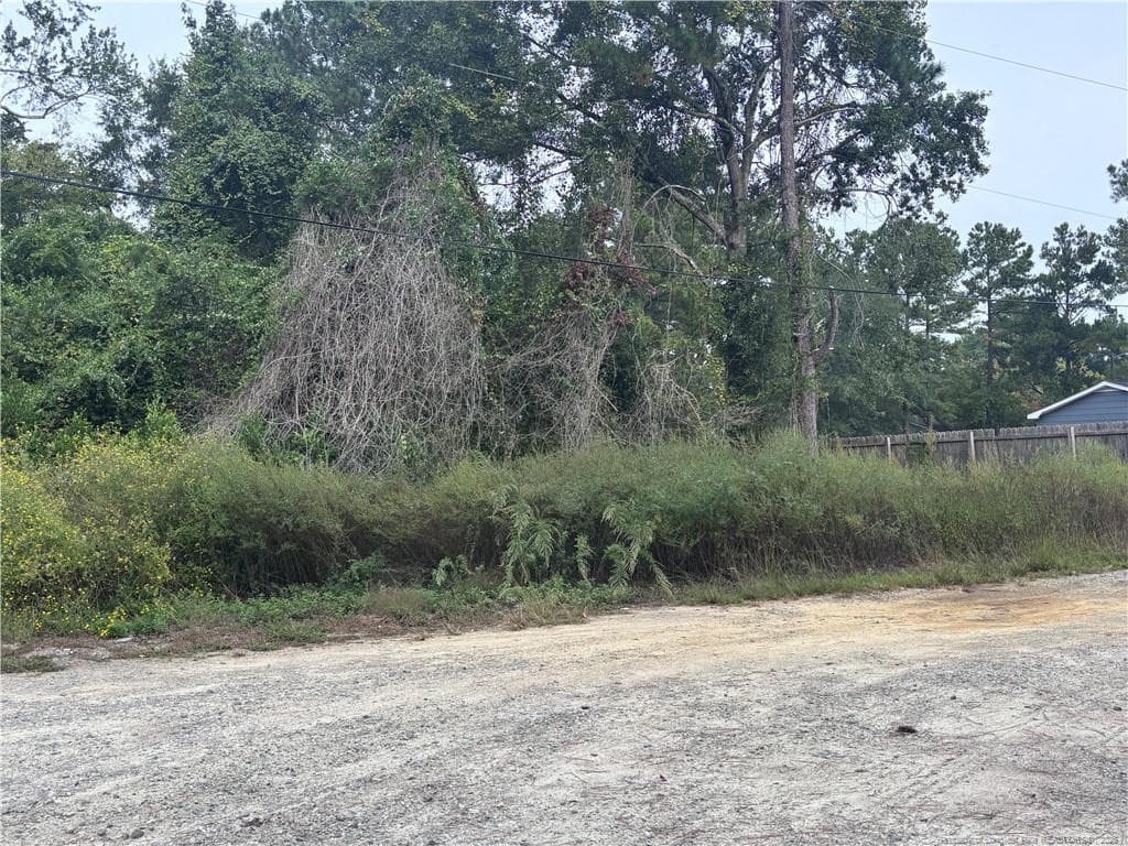 Photo 3 - Pelt Drive, Fayetteville, NC 28301