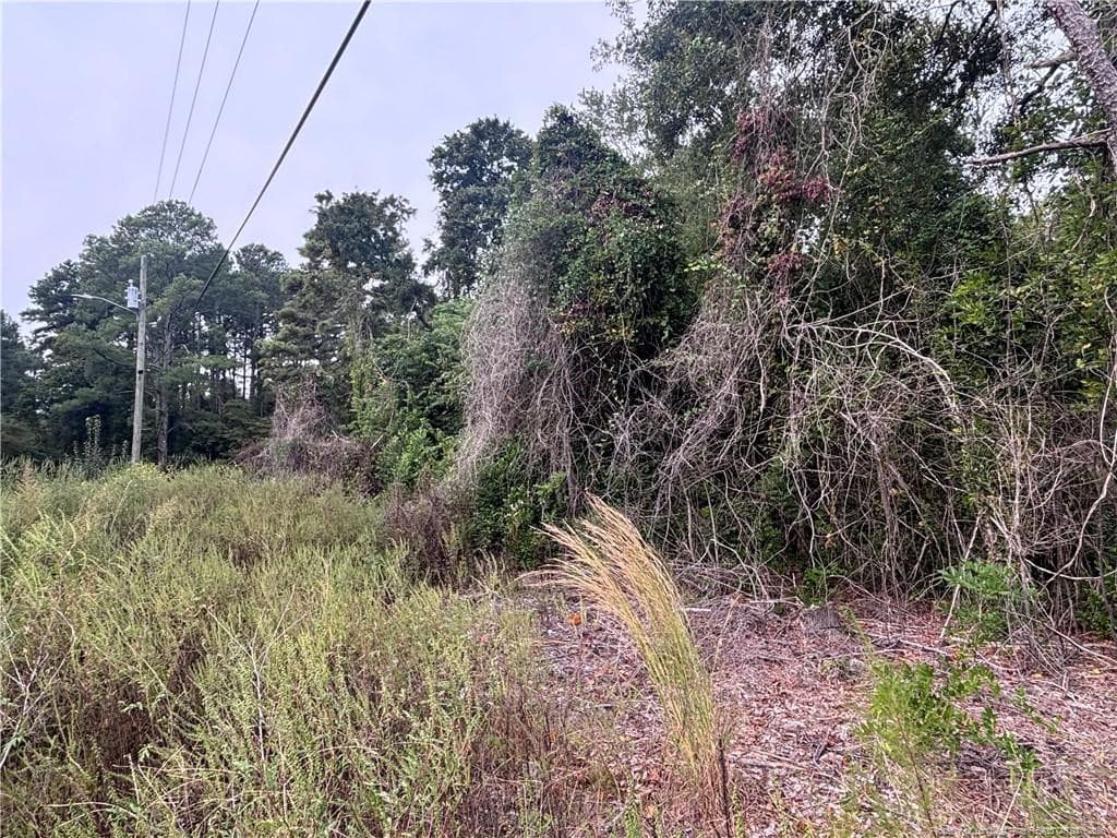 Photo 6 - Pelt Drive, Fayetteville, NC 28301