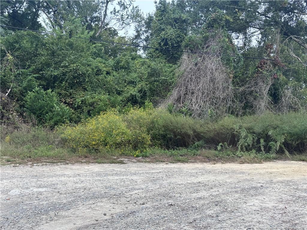 Photo 8 - Pelt Drive, Fayetteville, NC 28301