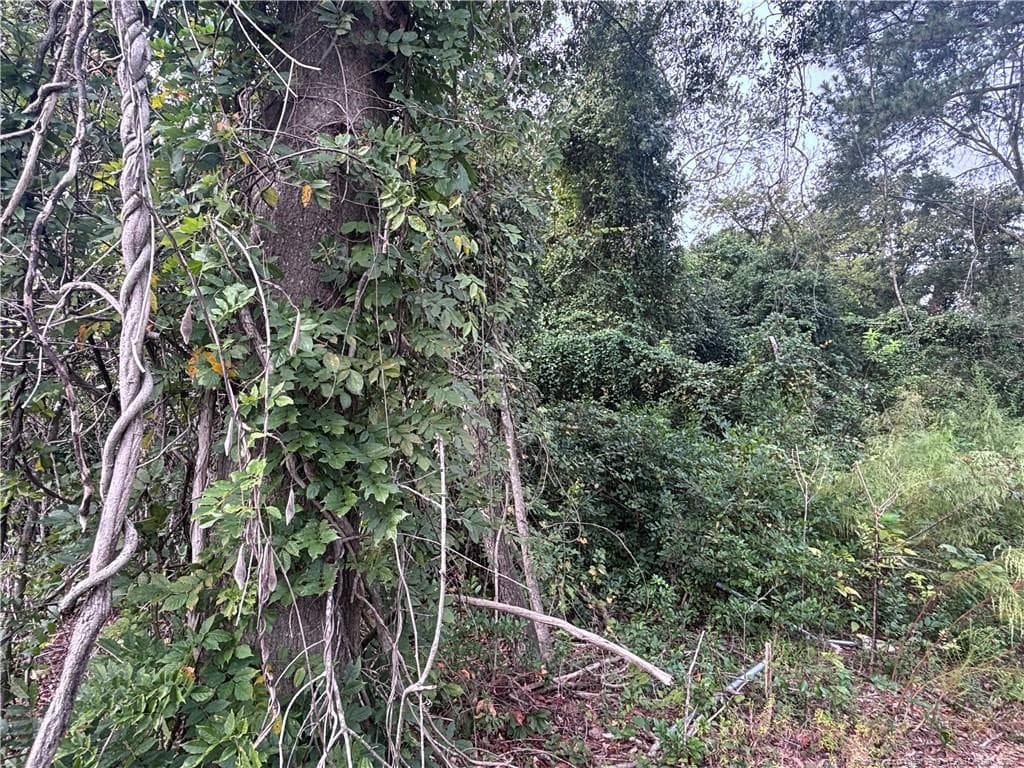 Photo 11 - Pelt Drive, Fayetteville, NC 28301