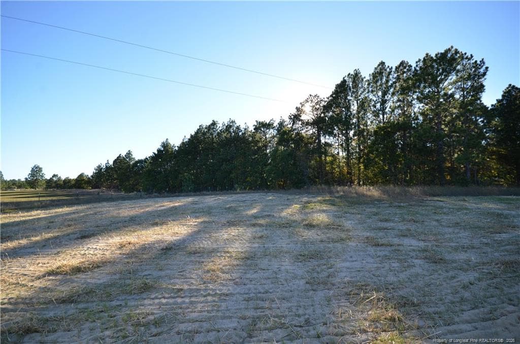 Photo 34 - 230 D L PHILLIPS (Lot 2) Lane, Broadway, NC 27505