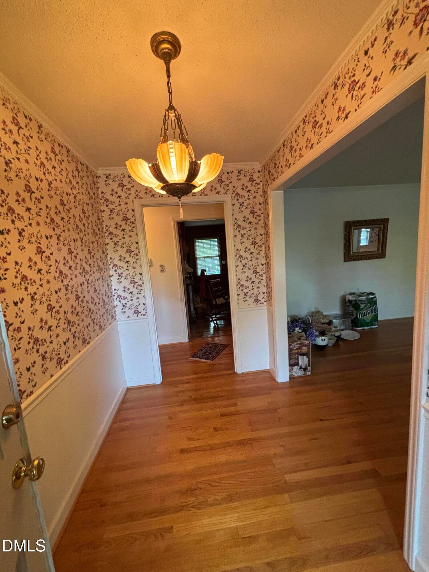IMG_8441 - 4401 Berini Drive, Durham, NC 27705