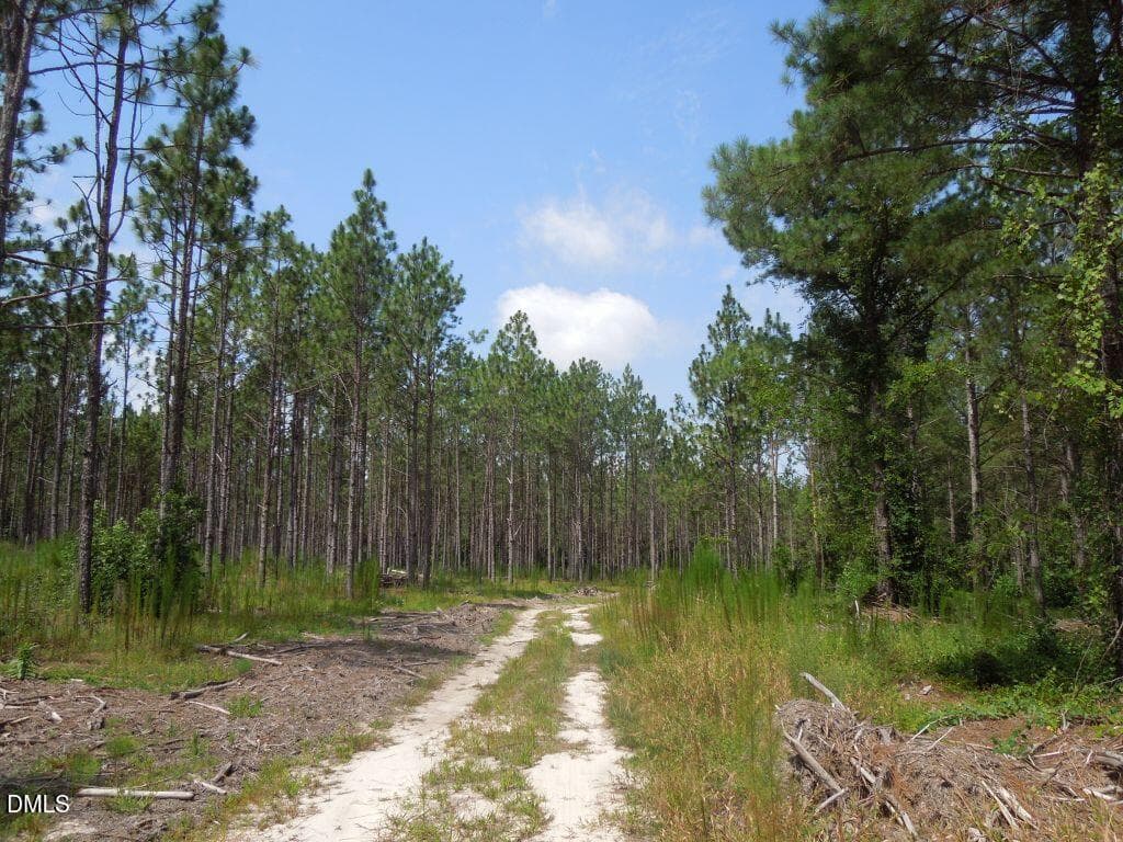 Tbd Nursery Road, Spring Lake, NC 28390