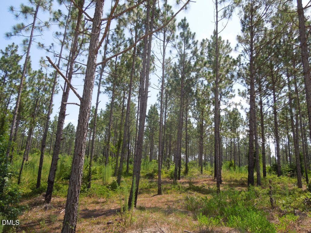 DSCN0686 - Tbd Nursery Road, Spring Lake, NC 28390