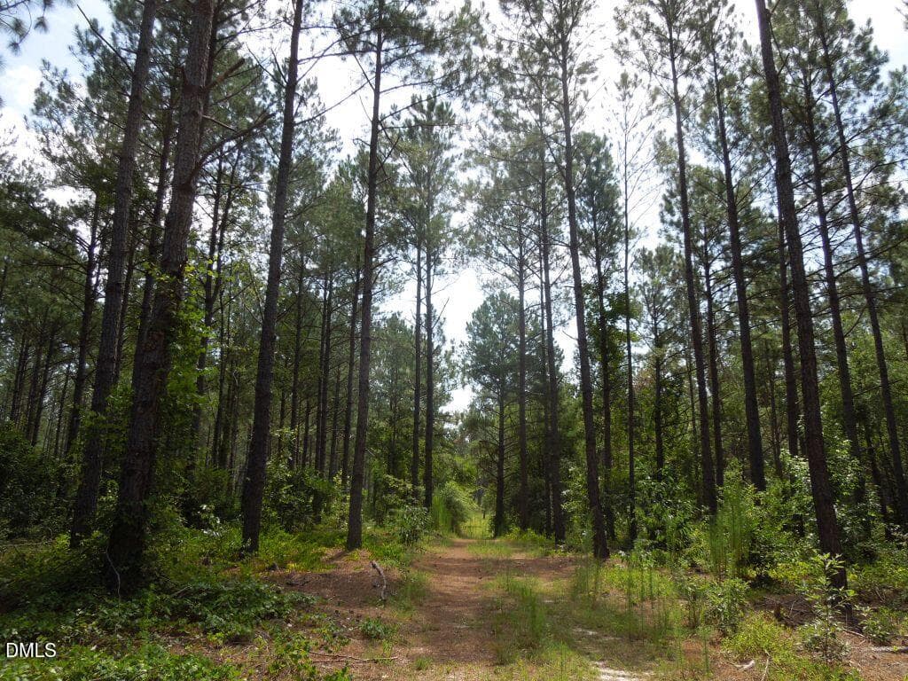 DSCN0675 - Tbd Nursery Road, Spring Lake, NC 28390