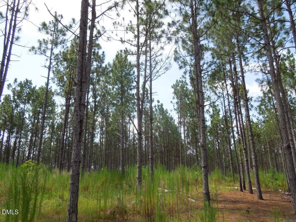 DSCN0678 - Tbd Nursery Road, Spring Lake, NC 28390