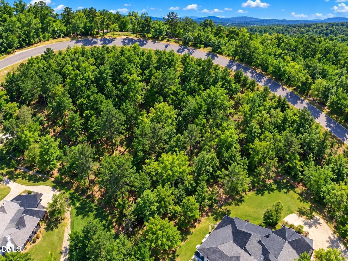 Macon-NC-2.16ac-Drone-288-no-outline - 0 N Robinson Ferry Road, Macon, NC 27551