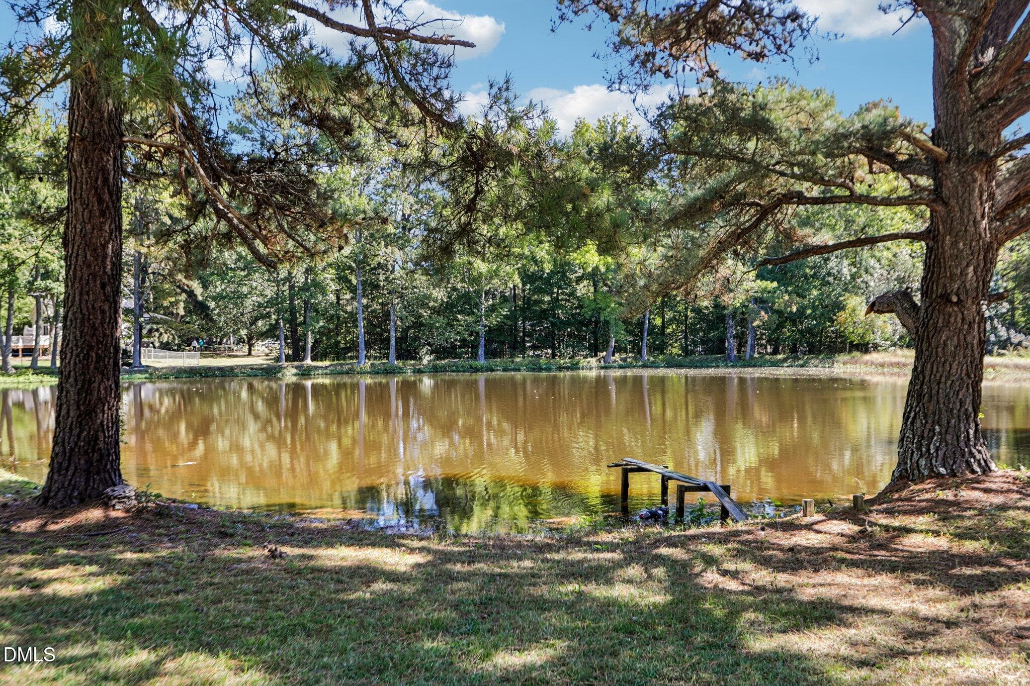 30-web-or-mls-Raney Way-S2110-030 - 4072 Raney Way Drive, Stem, NC 27581
