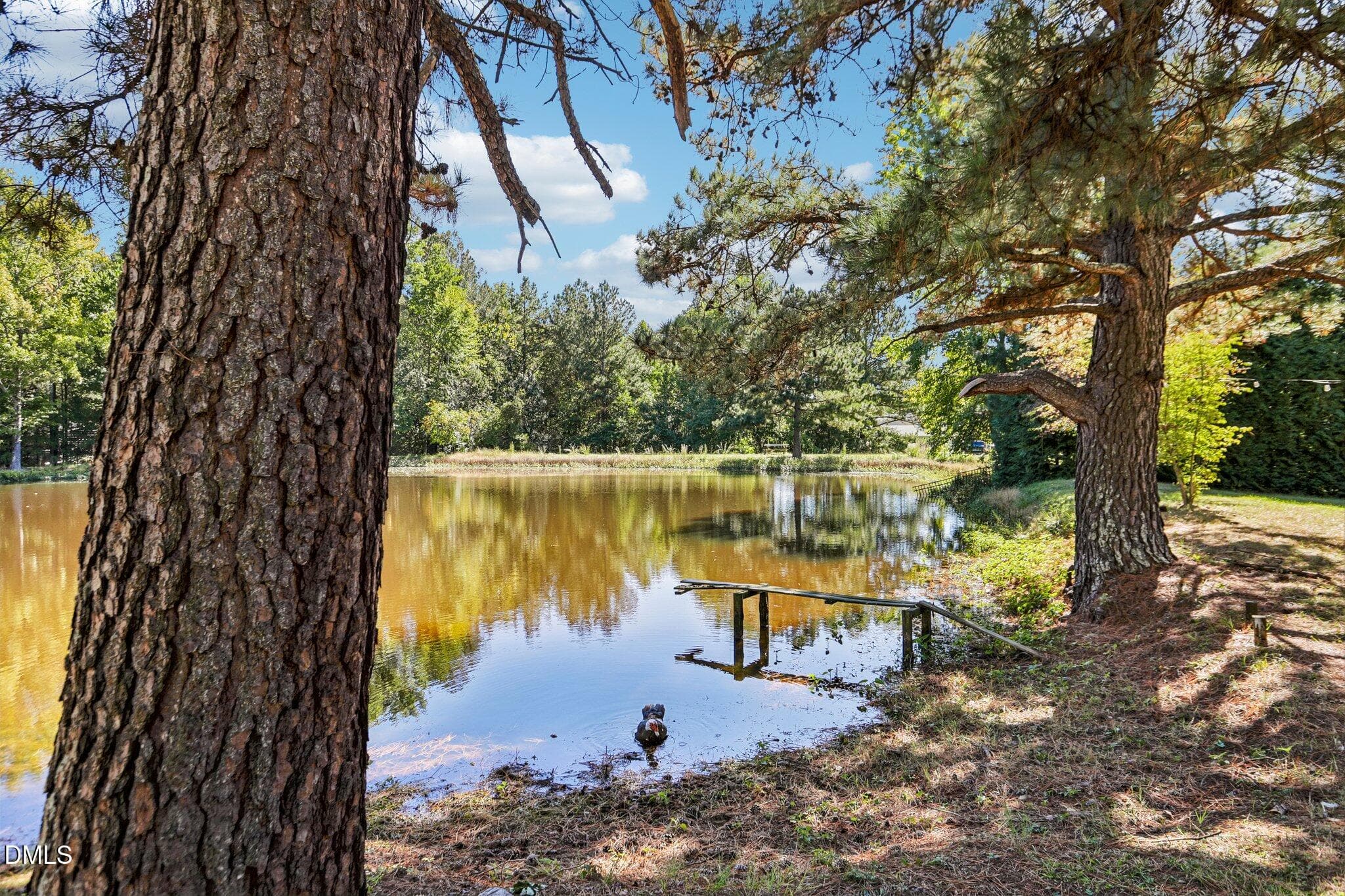 31-web-or-mls-Raney Way-S2110-031 - 4072 Raney Way Drive, Stem, NC 27581