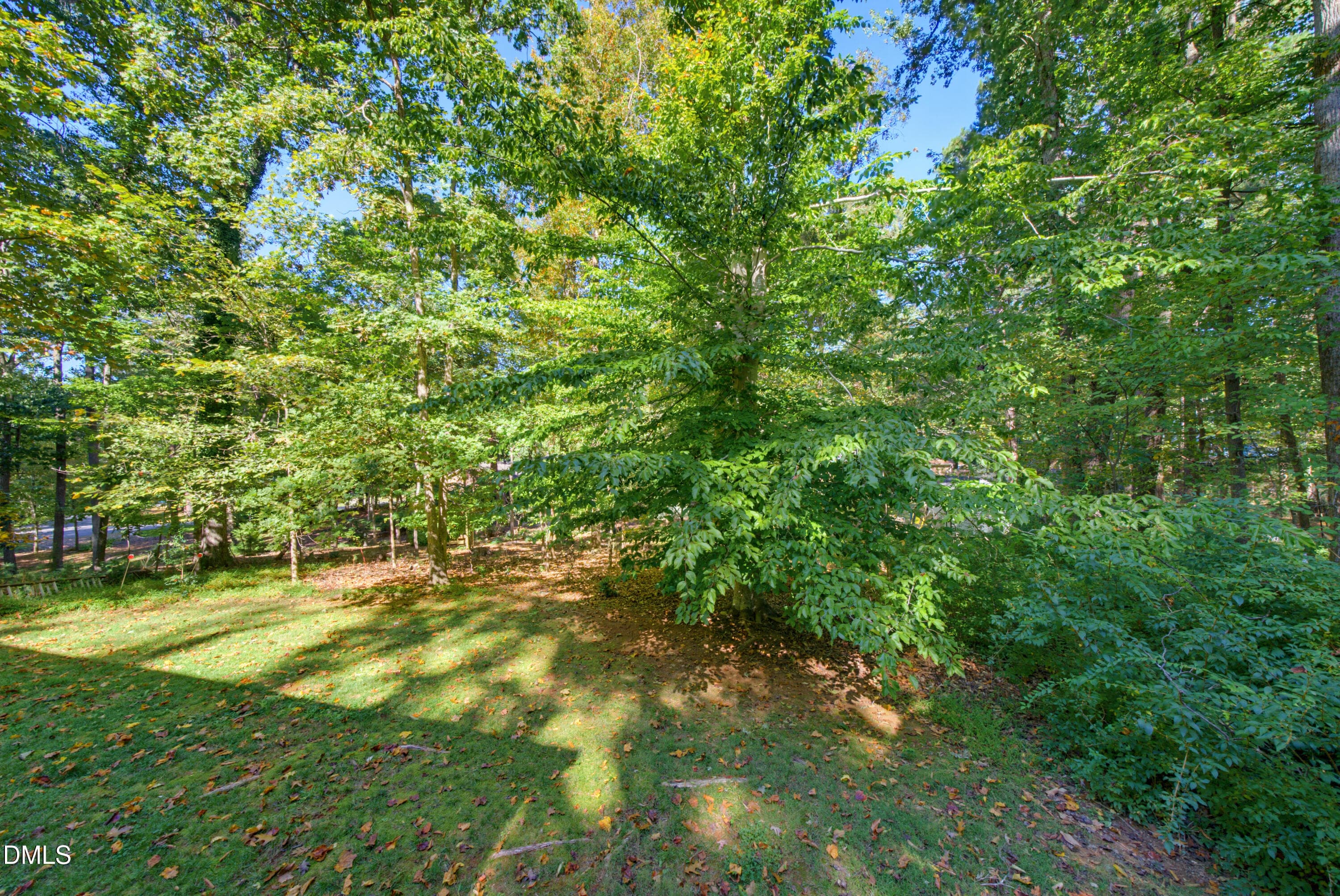 DSC08019 - 111 Perth Place, Durham, NC 27712