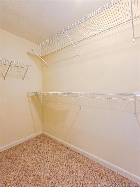 Photo 22 - 309 Porter Road, Hope Mills, NC 28348