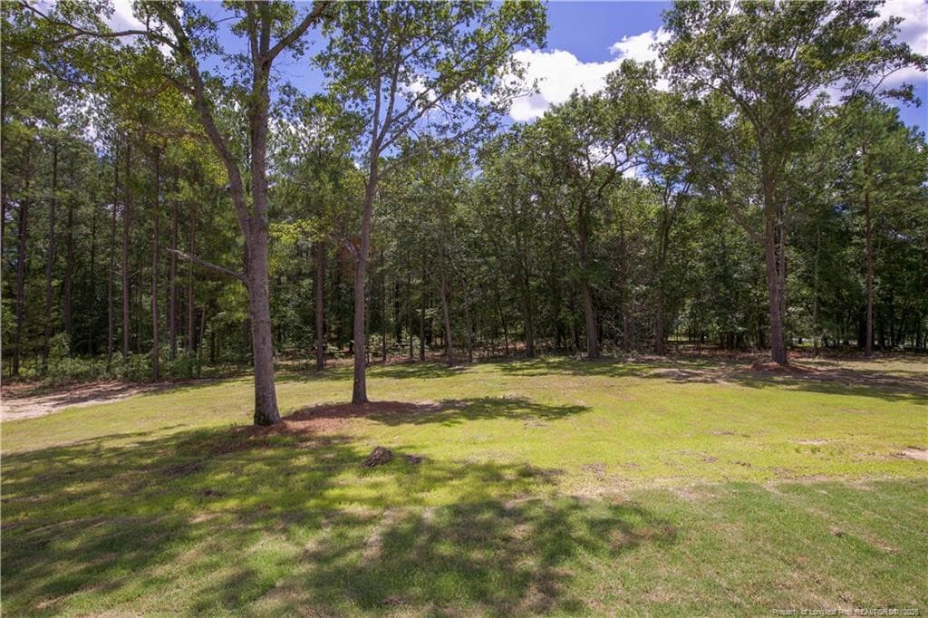 Photo 38 - 1021 Juniper Lake Road, West End, NC 27376