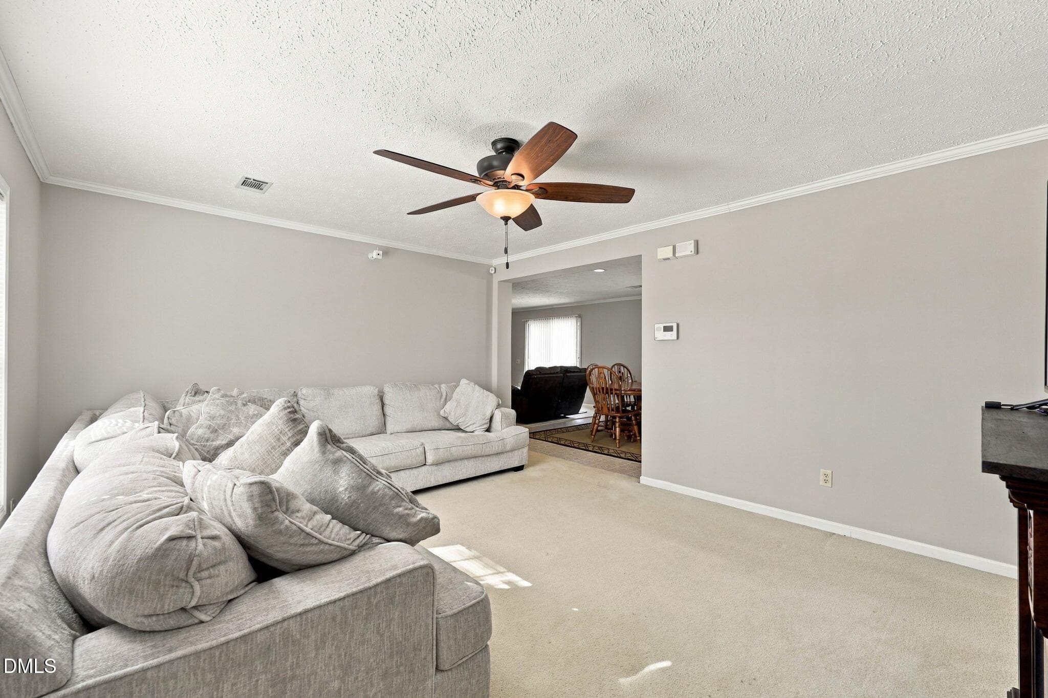 26-web-or-mls-IMG_4069 - 4426 Kerr's Chapel Road, Elon, NC 27244