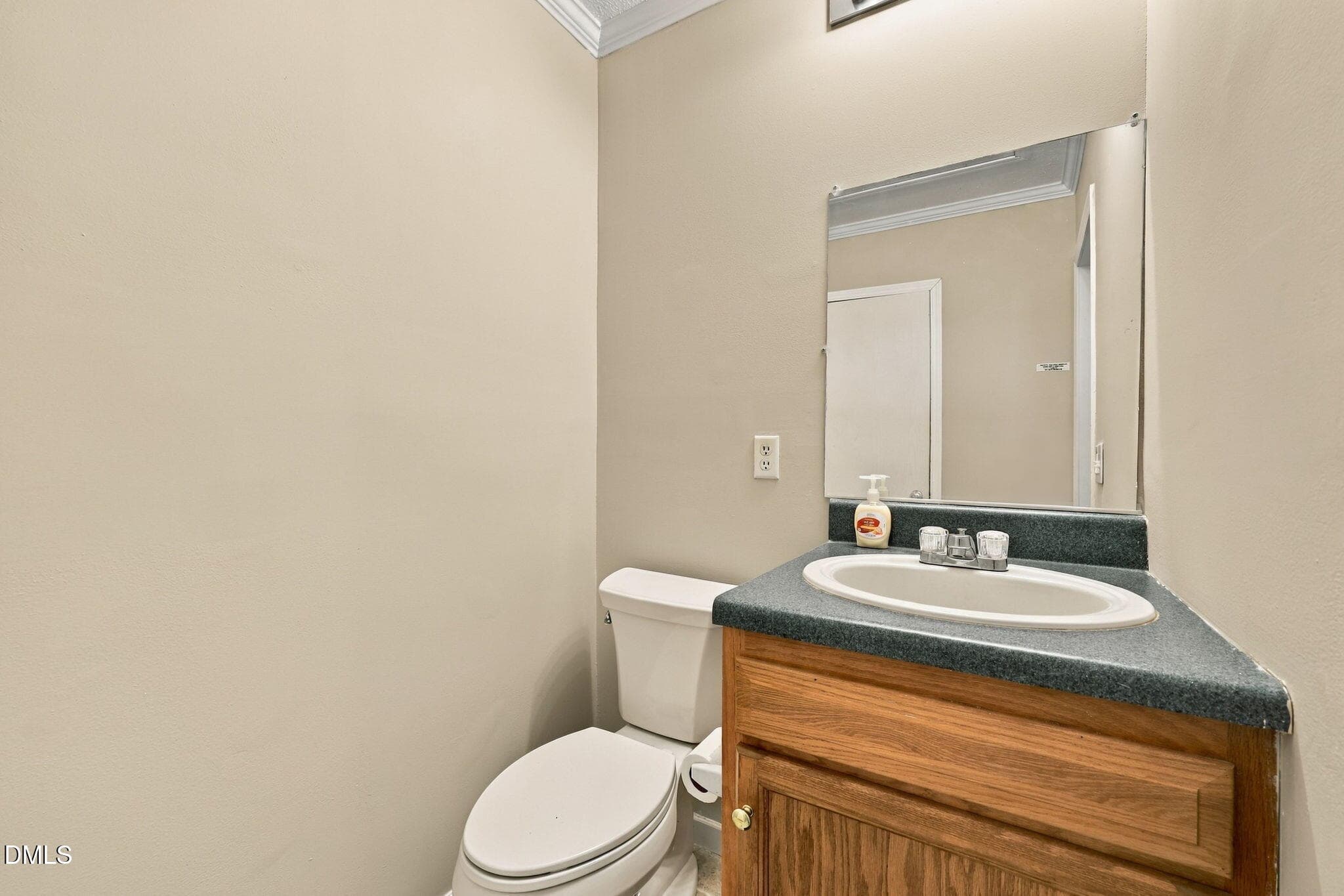 37-web-or-mls-IMG_4102 - 4426 Kerr's Chapel Road, Elon, NC 27244