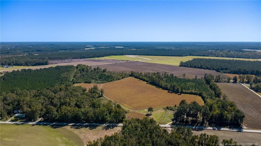 Photo 4 - 0 Carl Freeman Road, Stedman, NC 28391