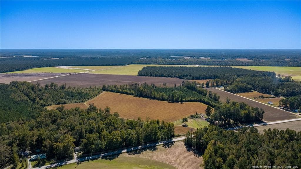Photo 5 - 0 Carl Freeman Road, Stedman, NC 28391