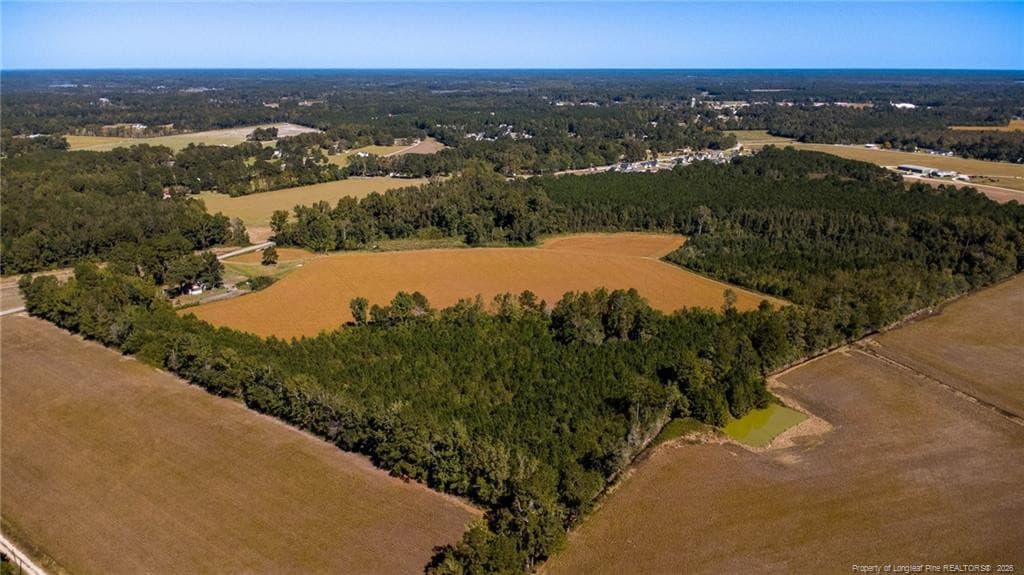 Photo 7 - 0 Carl Freeman Road, Stedman, NC 28391
