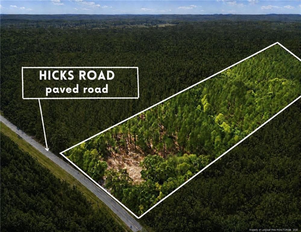 Photo 3 - Lot 3 Capelsie Road, Candor, NC 27229