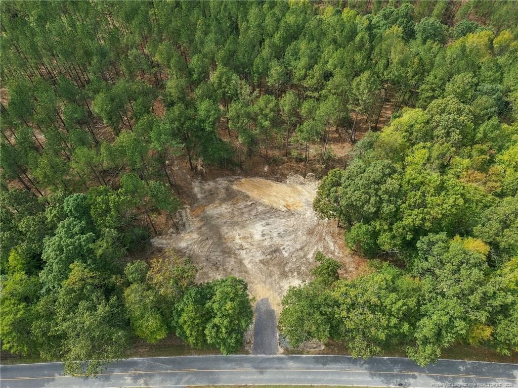 Photo 4 - Lot 3 Capelsie Road, Candor, NC 27229