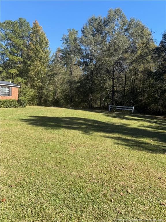 Photo 29 - 4307 Bunnlevel Erwin Road, Erwin, NC 28339